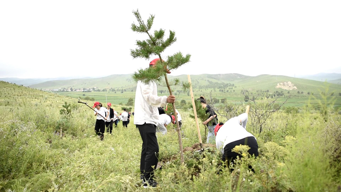 20苏人牧场植树.jpg