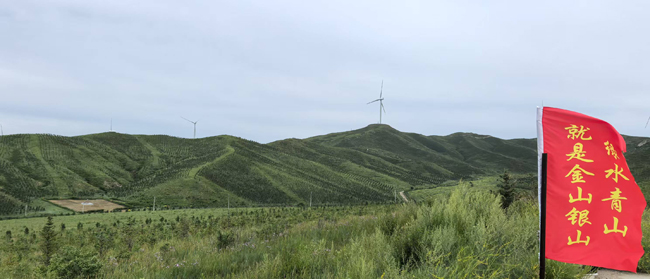 1754275072702223.jpg 8,苏人牧场万亩松林.jpg