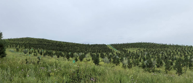 1754275090140730.jpg 9,苏家沟项目区.jpg