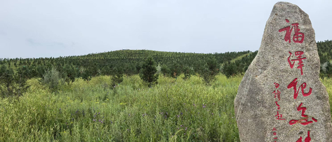 1754275106692078.jpg 10,福泽纪念林.jpg