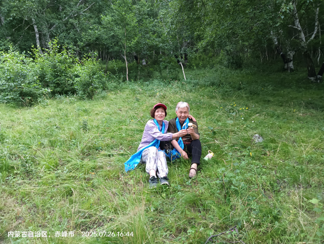 1754275145377661.jpg 12,苏人牧场桦树林.jpg