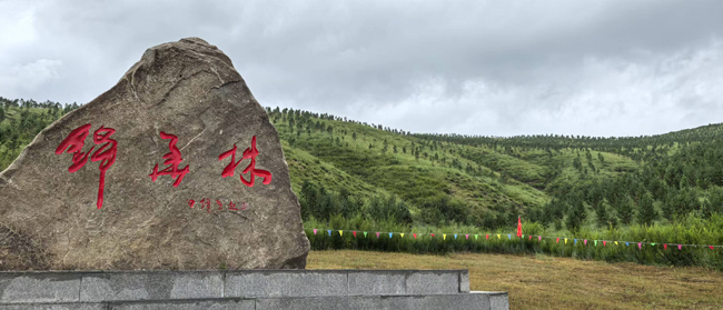 1754275165537369.jpg 13,锦华林碑.jpg