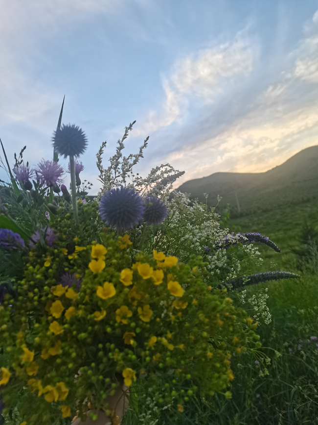 1754275491815036.jpg 24,随手采撷.jpg