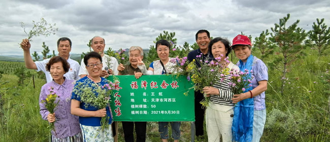 1754275890204615.jpg 43、伙伴们种的树已经成林.jpg