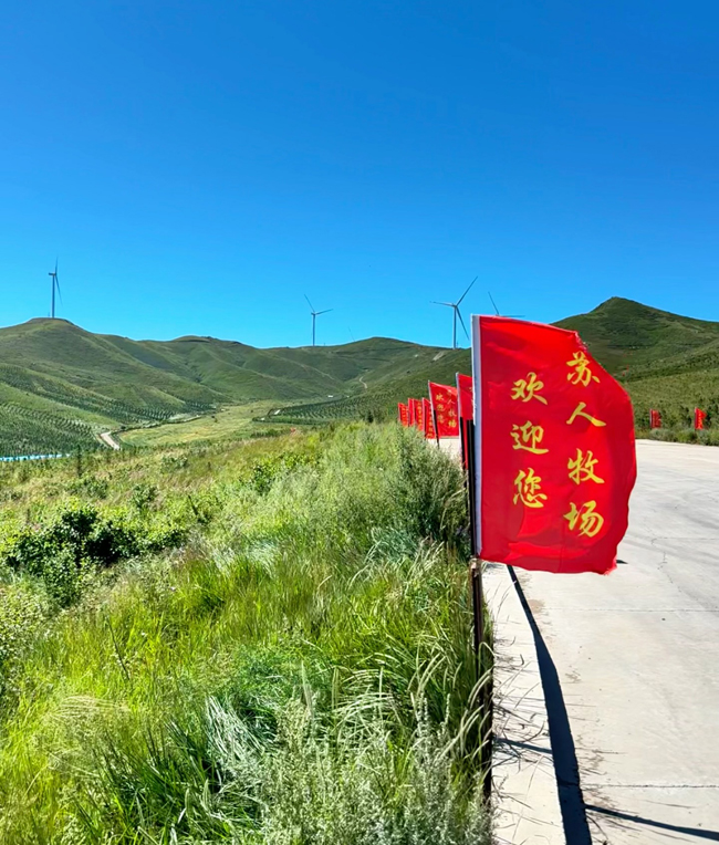 1755565678933946.jpg 5.jpg