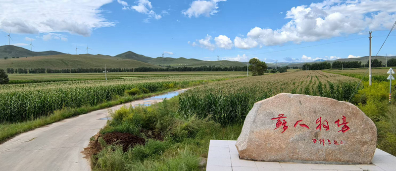 1756087679555449.jpg 1.jpg