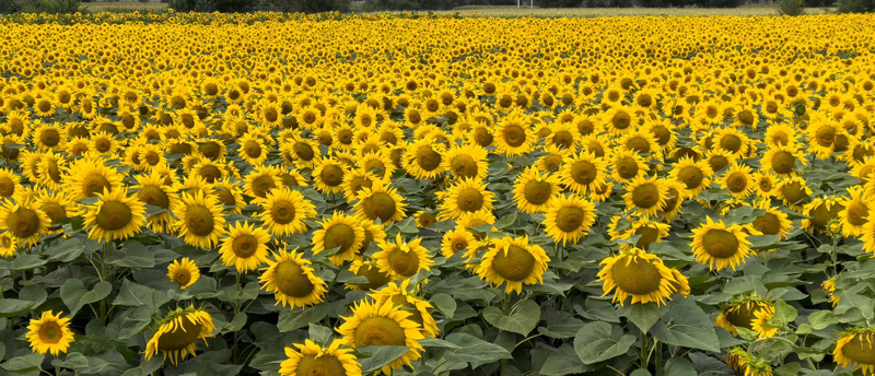 1756087797193853.jpg 3.jpg