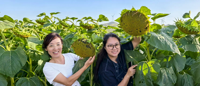 1757061315440827.jpg 9.jpg